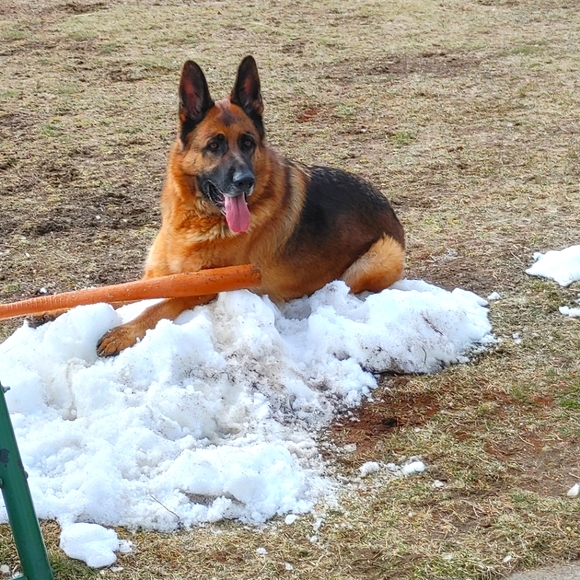 Meet your Posher, Laura - Picture 9 of 10